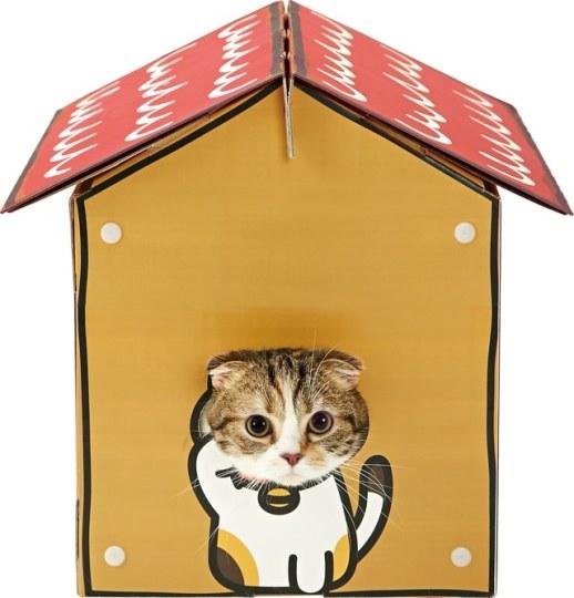 猫奴必看！《猫咪后院》宠物玩具商业化