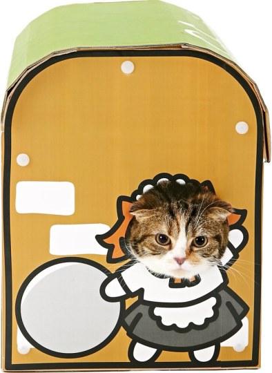 猫奴必看！《猫咪后院》宠物玩具商业化