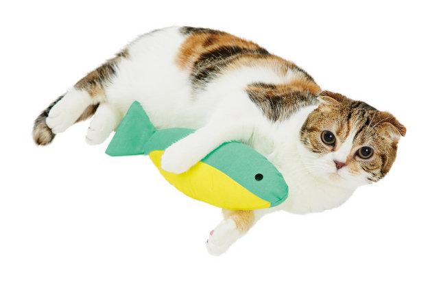 猫奴必看！《猫咪后院》宠物玩具商业化