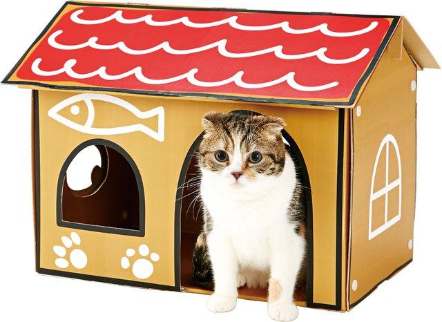 猫奴必看！《猫咪后院》宠物玩具商业化