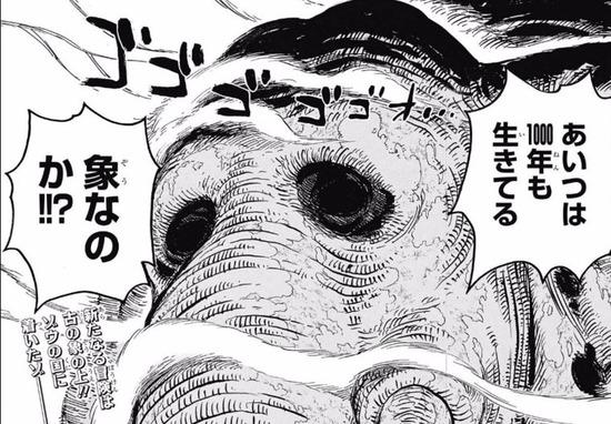 大家认为《航海王》《全职猎人》谁会先完结？